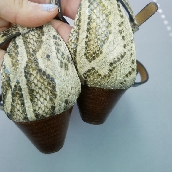 🌸 Coach | Snakeskin‎ Leather Sandals 8.5 - Picture 2 of 7